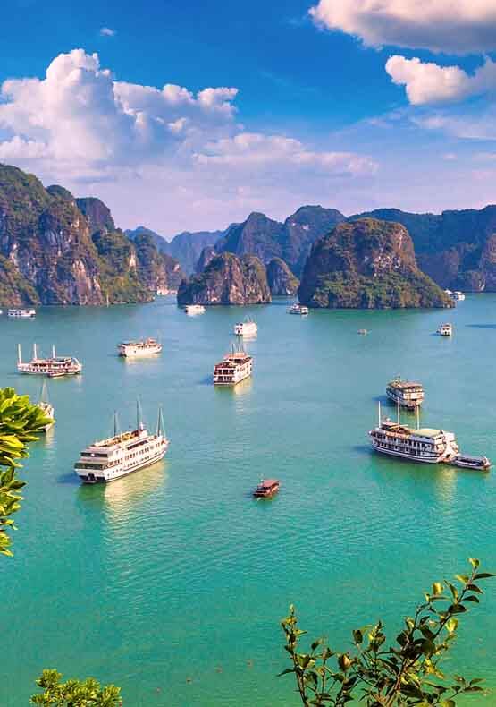 Vietnam Beauty